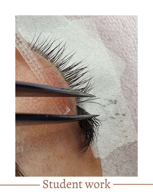 Virtual Lash Extension Training