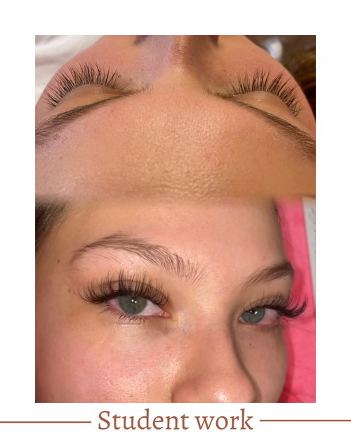 Virtual Lash Extension Training