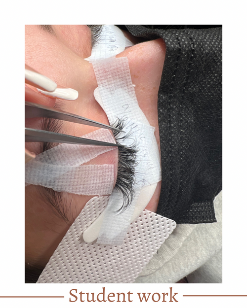 Virtual Lash Extension Training