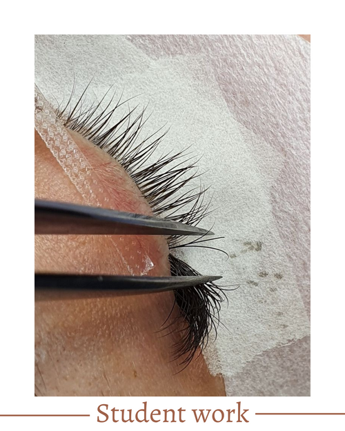 Virtual Lash Extension Training